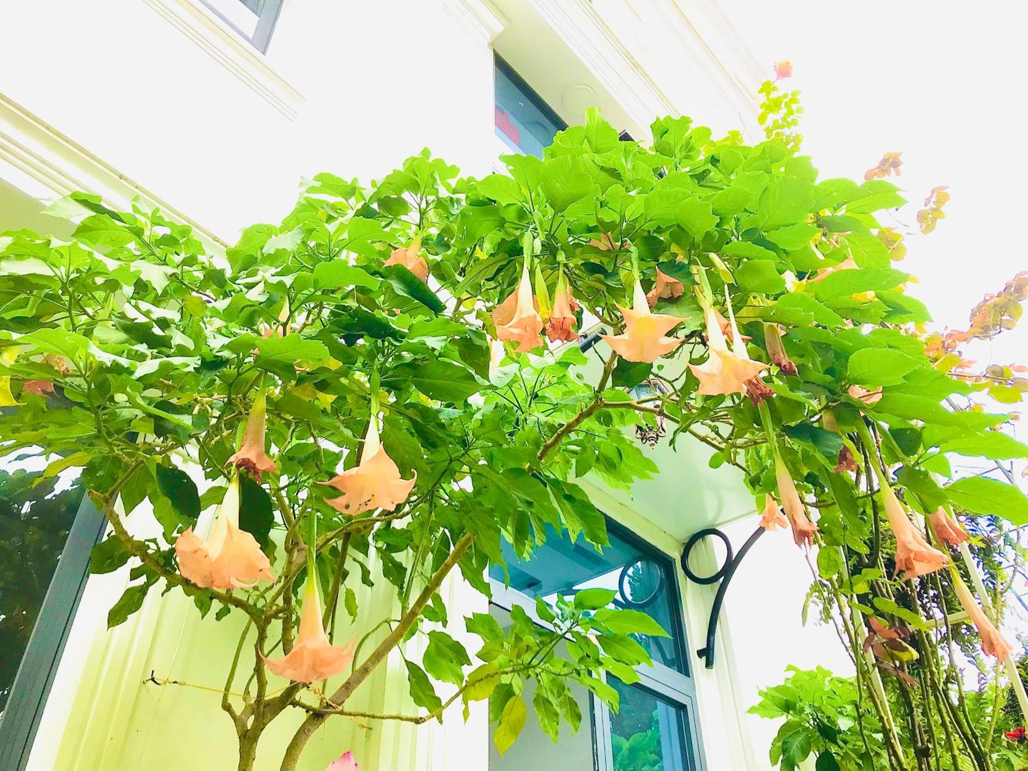 Hotel Hoa NáNg Бао Лок Екстериор снимка