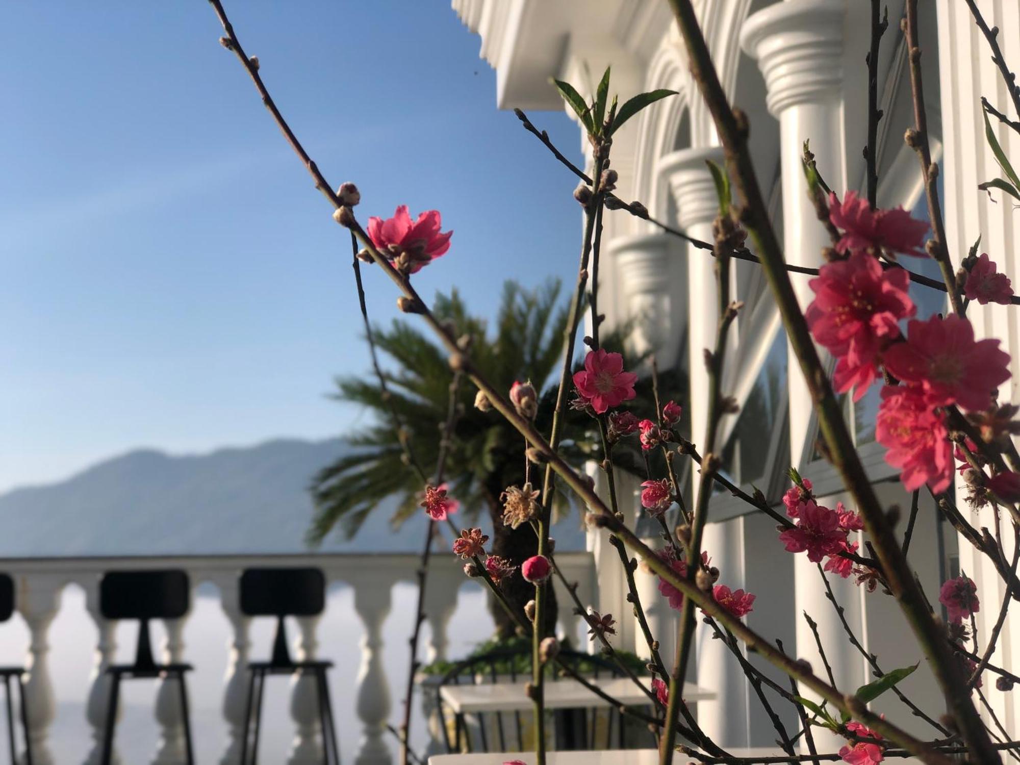 Hotel Hoa NáNg Бао Лок Екстериор снимка
