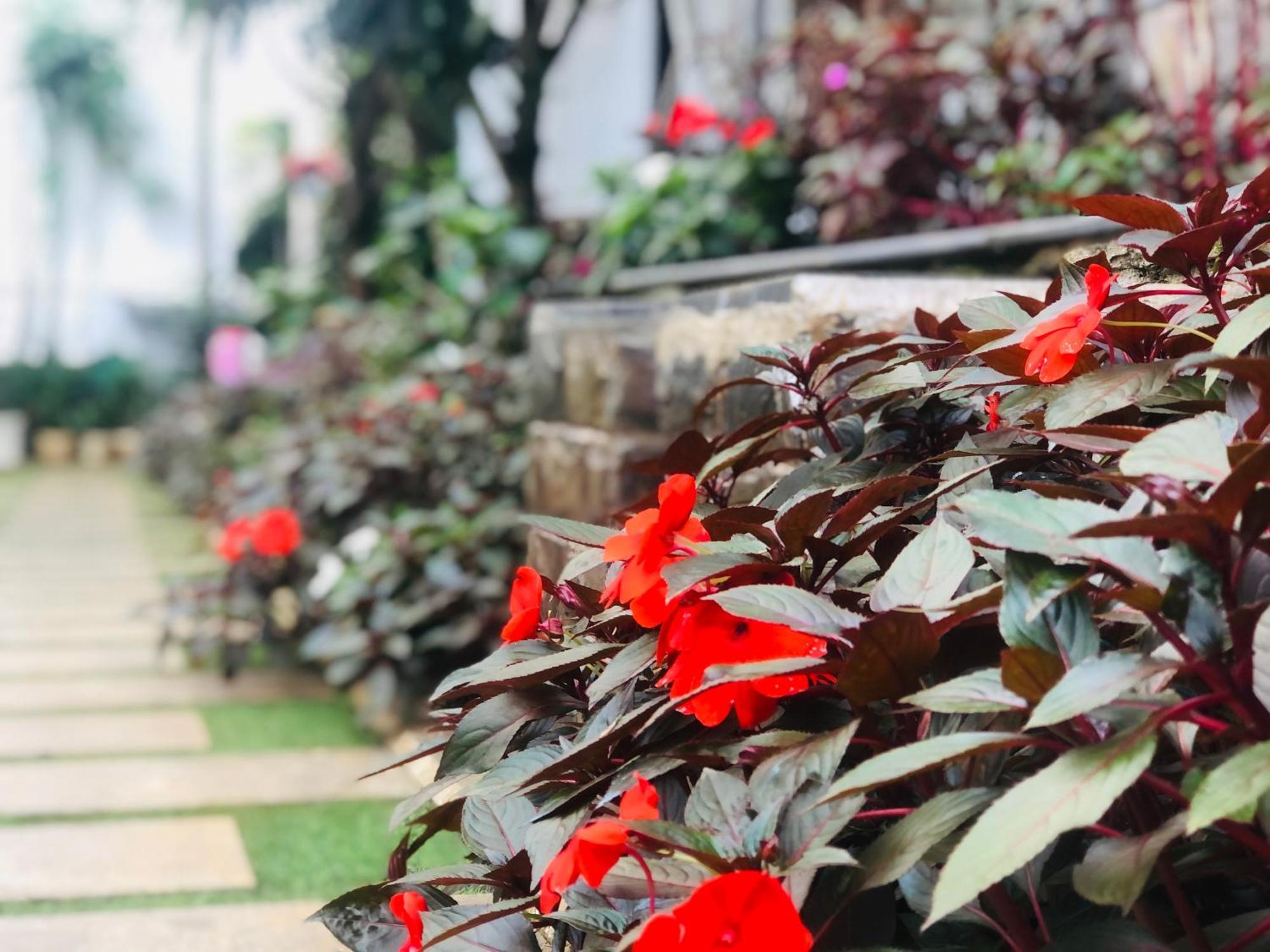 Hotel Hoa NáNg Бао Лок Екстериор снимка
